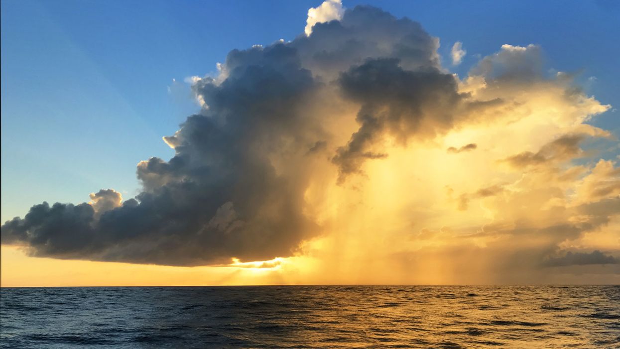 2020 election outcomes seascape