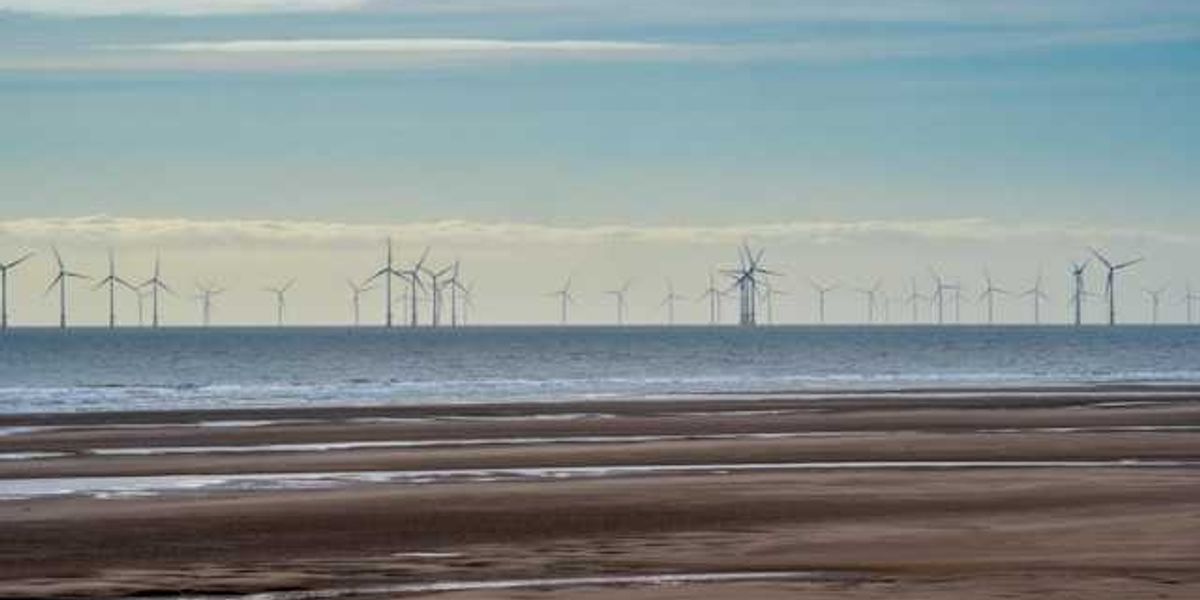 A beach with rows of offshore wind turbines in the distance