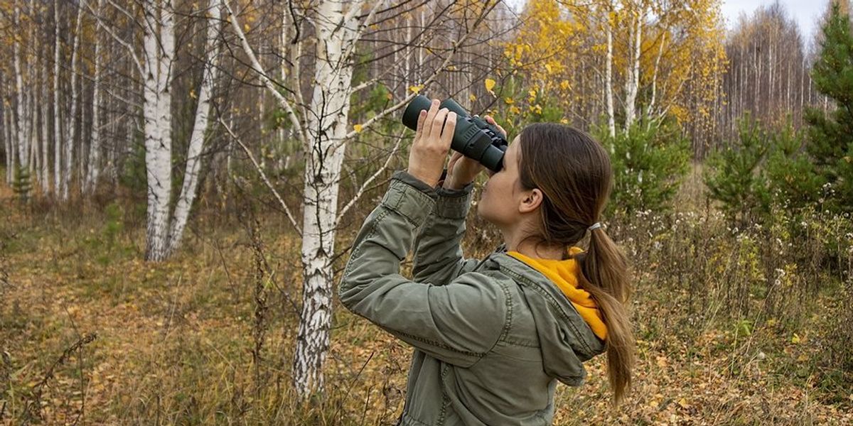 A birdwatcher with binoculars in a forest.