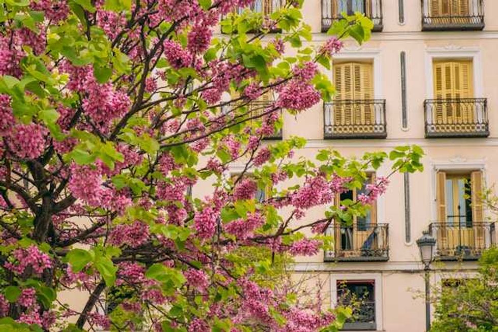 Trees cut extra city heat by half, but not quite fairly, study says