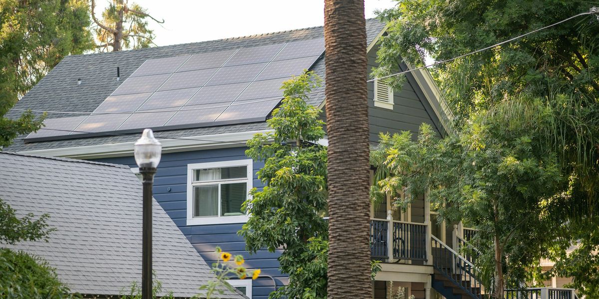 A blue house surrounded by trees and plants.