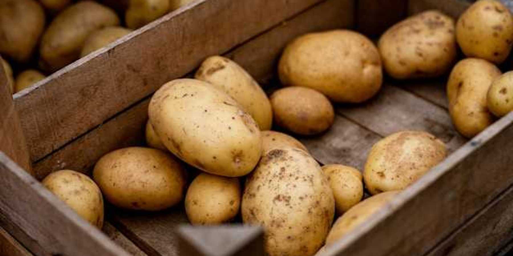 A box full of potatoes