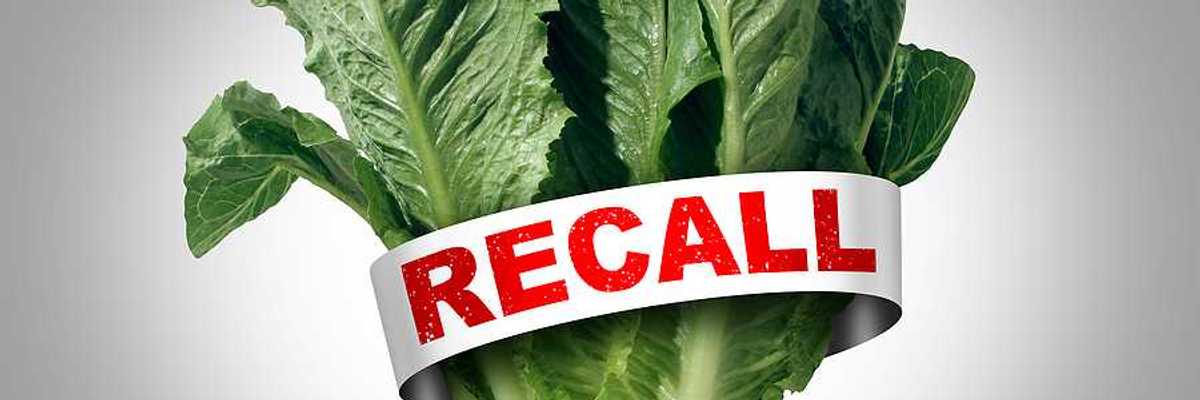 A bunch of lettuce with a tag with the word RECALL in red font