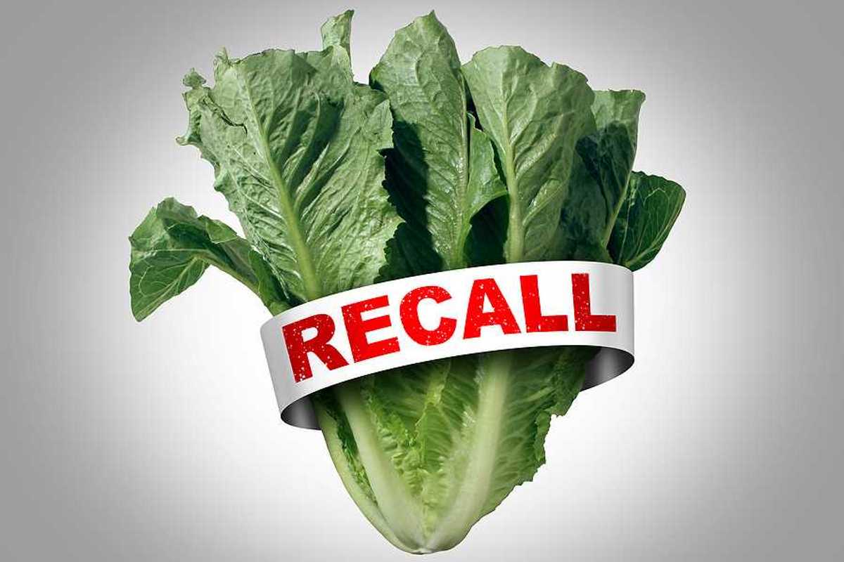 A bunch of lettuce with a tag with the word RECALL in red font