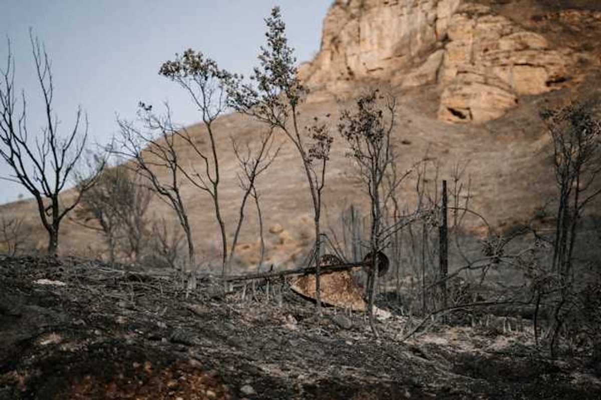 A burned area of ground with a dry mountain in the background
