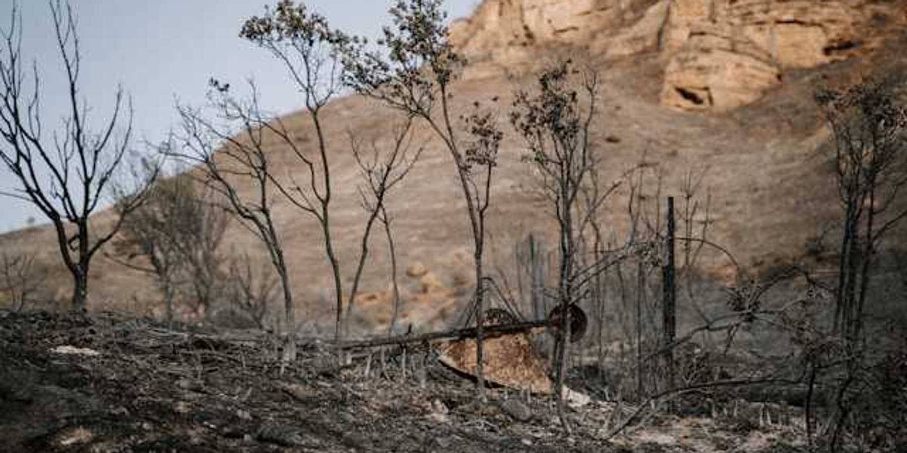 A burned area of ground with a dry mountain in the background