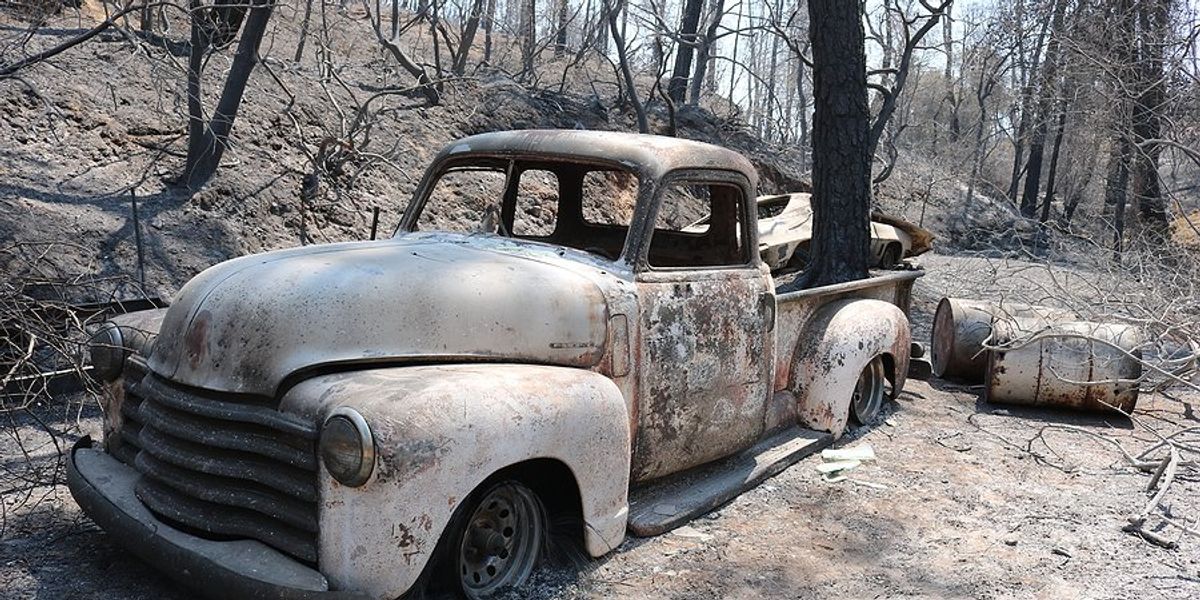 A burned classic truck sitting in a burned forest.