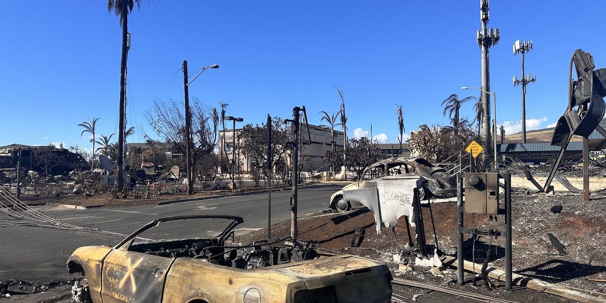 A burned out car sits at a wildfire-ravaged intersection with burned buildings and ash.