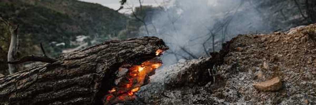 A burning tree trunk laying on ash with smoke behind it
