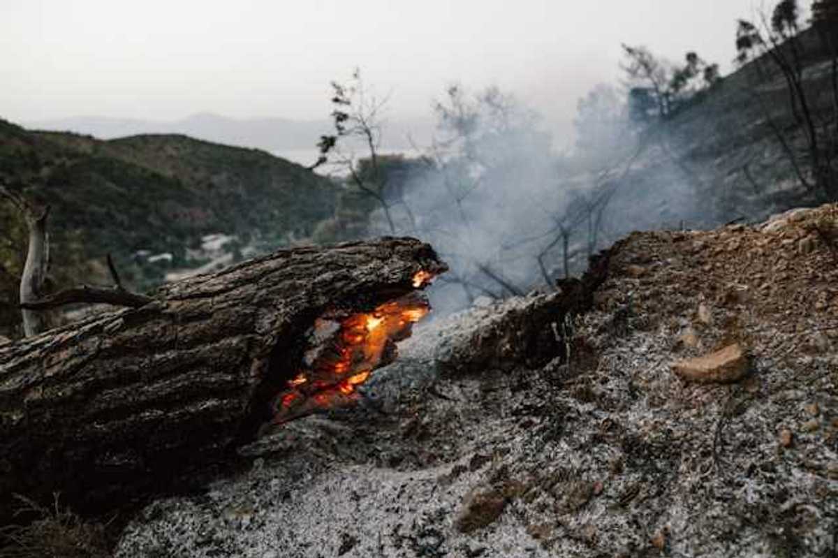 A burning tree trunk laying on ash with smoke behind it