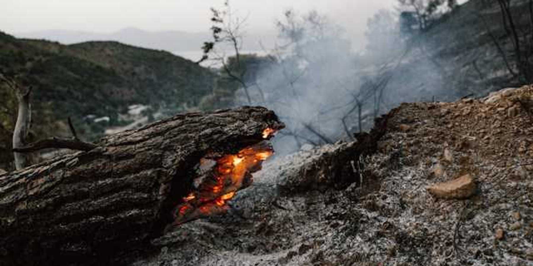 A burning tree trunk laying on ash with smoke behind it