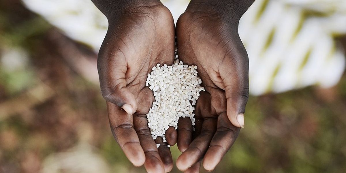 A child holding a little bit of uncooked rice