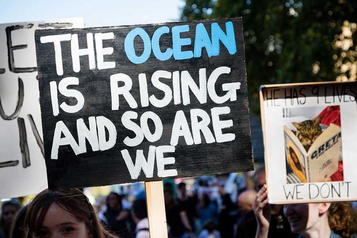 A child holding a protest sign that says 'the ocean is rising and so are we'