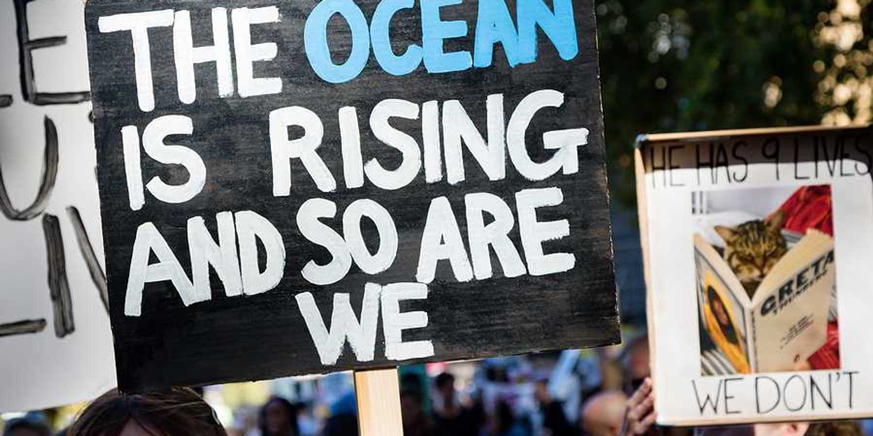 A child holding a protest sign that says 'the ocean is rising and so are we'