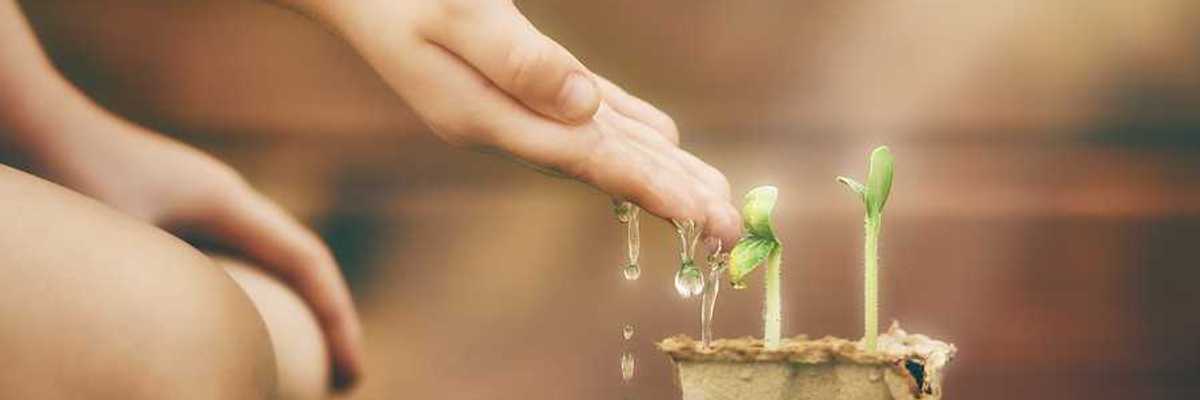A child sitting in front of a small pot with green shoots in it