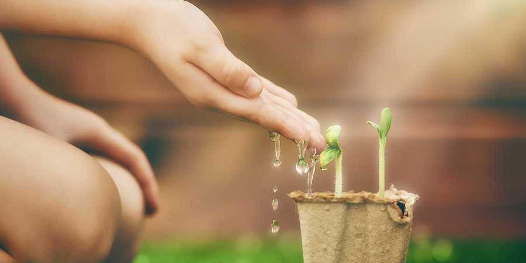 A child sitting in front of a small pot with green shoots in it