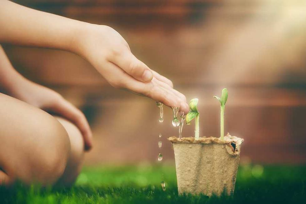 Fighting climate change, one sprout at a time
