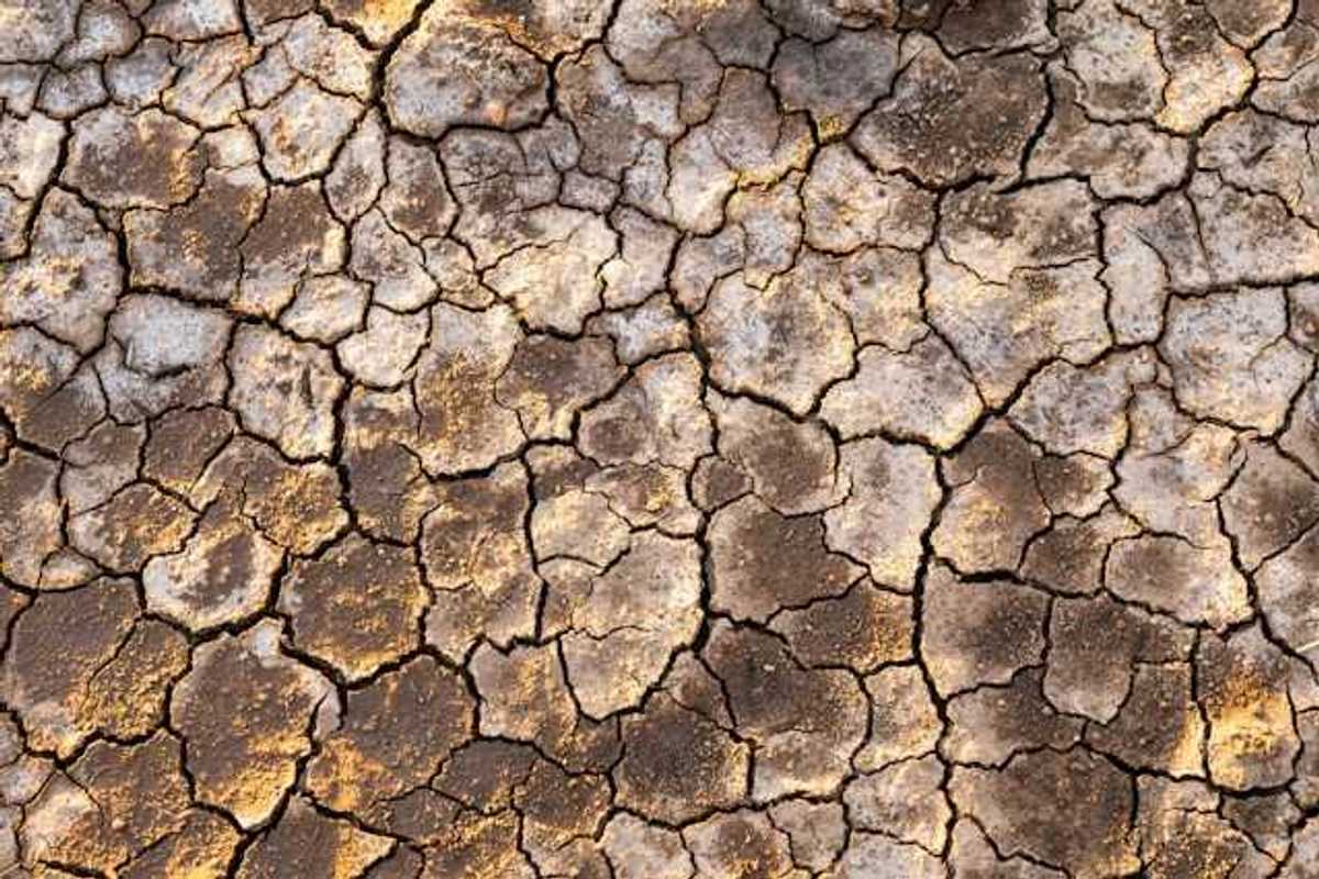 A close up of cracked surface on the earth