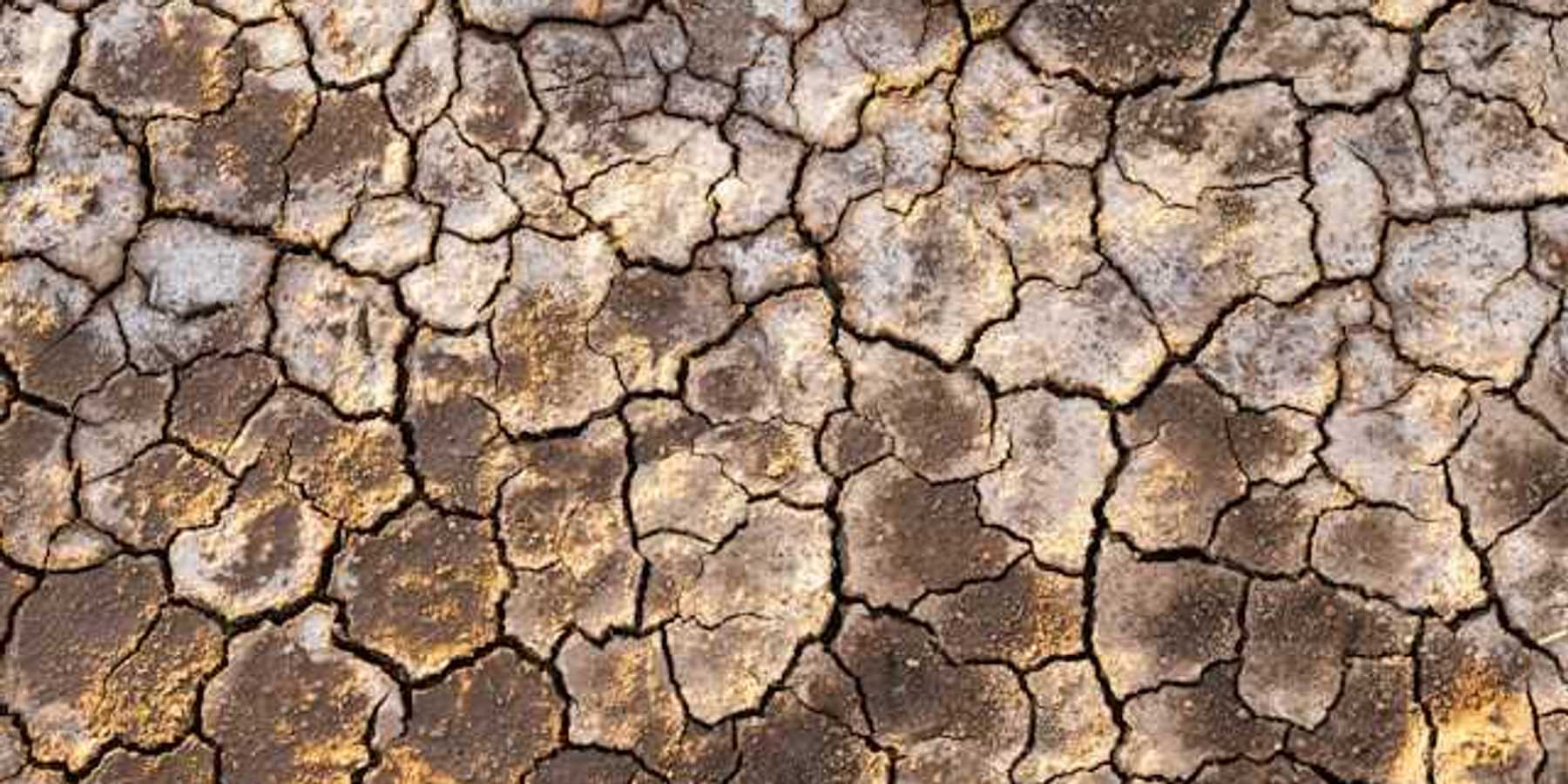 A close up of cracked surface on the earth