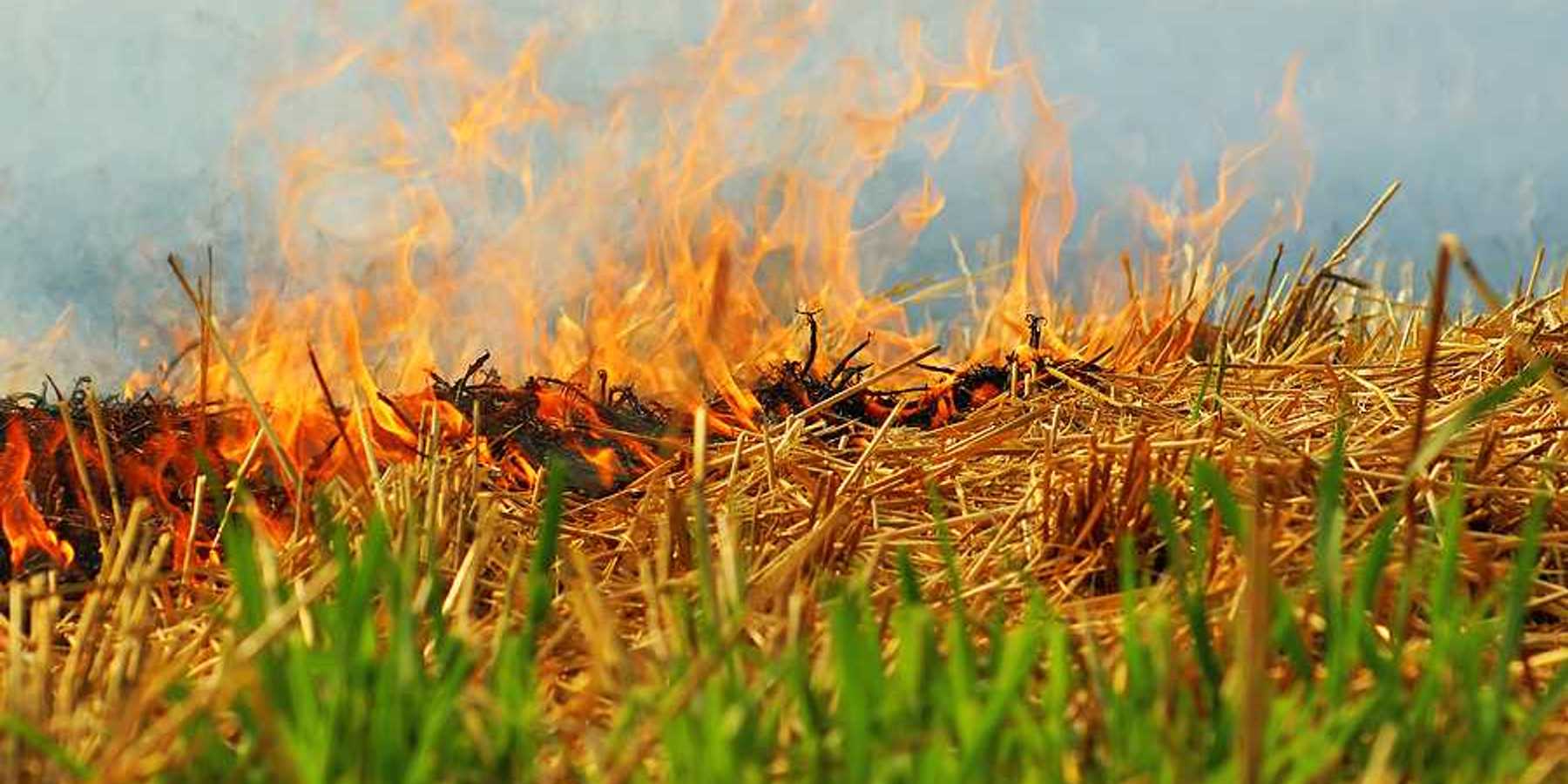 A closeup of a burning farm field