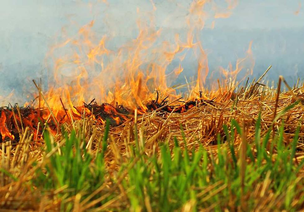 Crop-residue burning, a major contributor to black carbon pollution: Study
