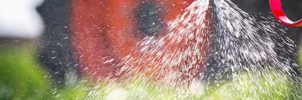 A closeup of a tractor implement spraying pesticides on a field