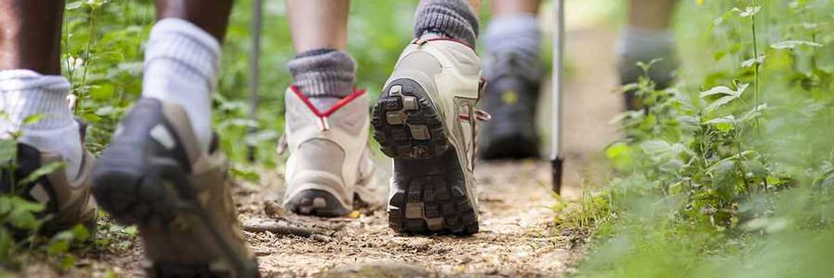 A closeup of hikers' feet on a trail