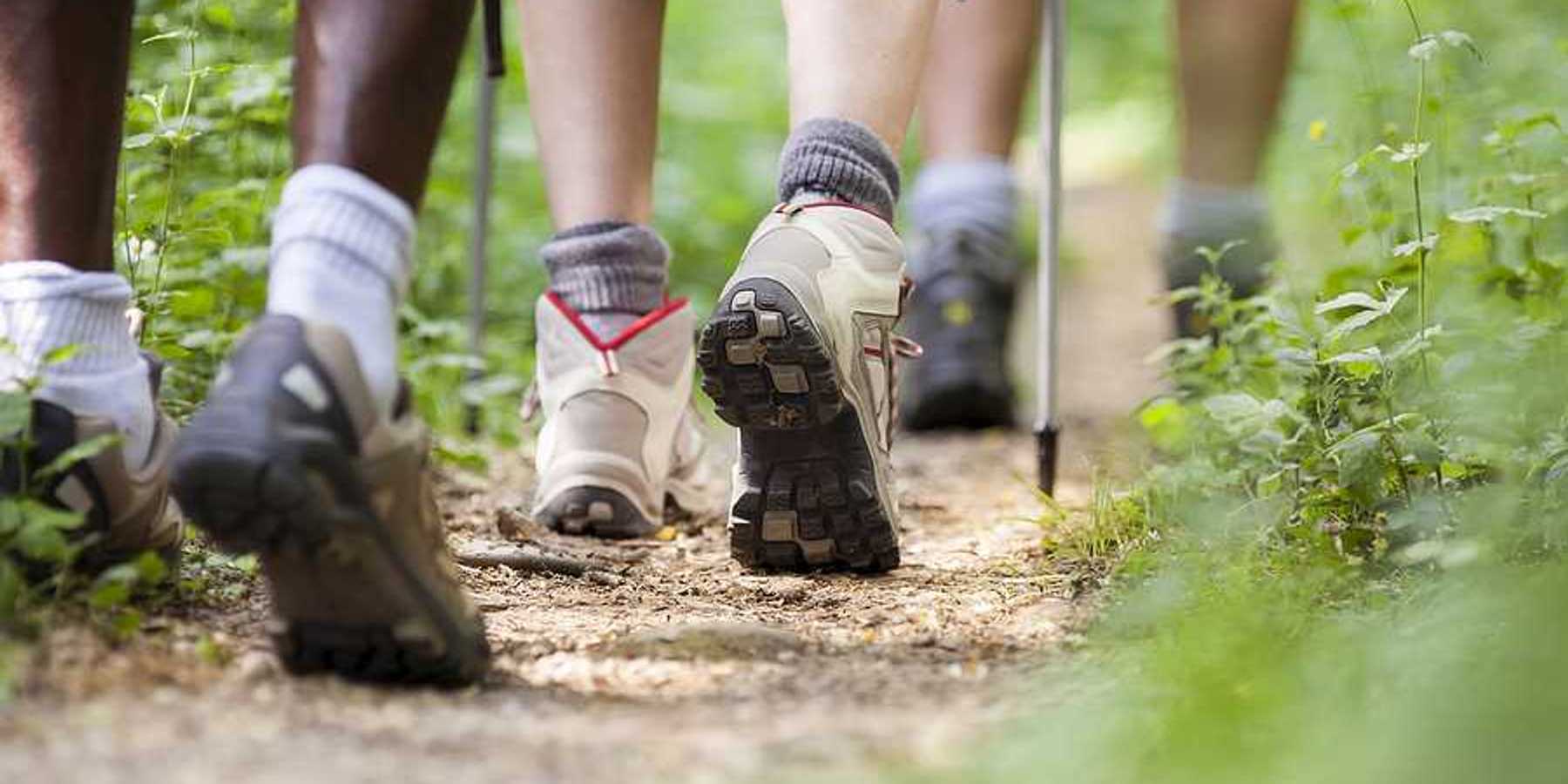 A closeup of hikers' feet on a trail
