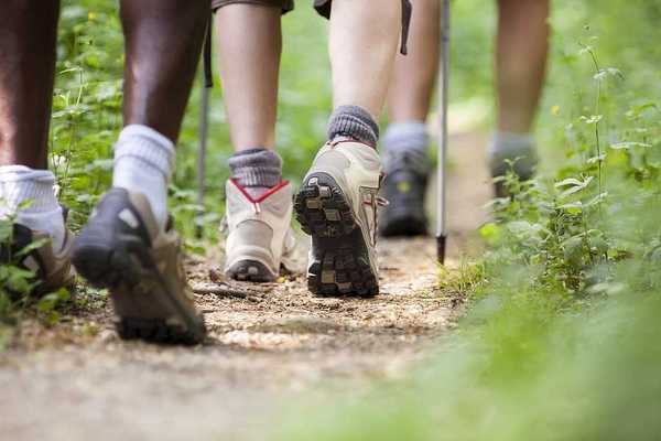 A closeup of hikers' feet on a trail
