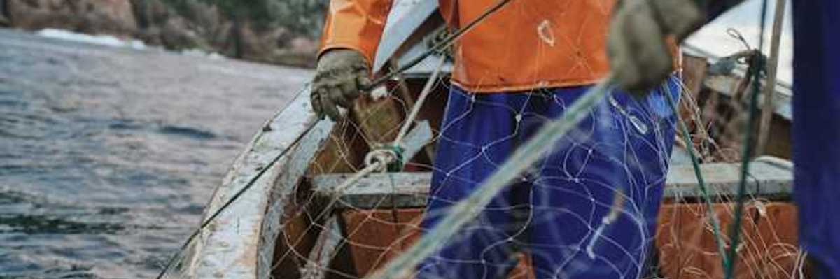 A couple of fishermen bring net into a boat