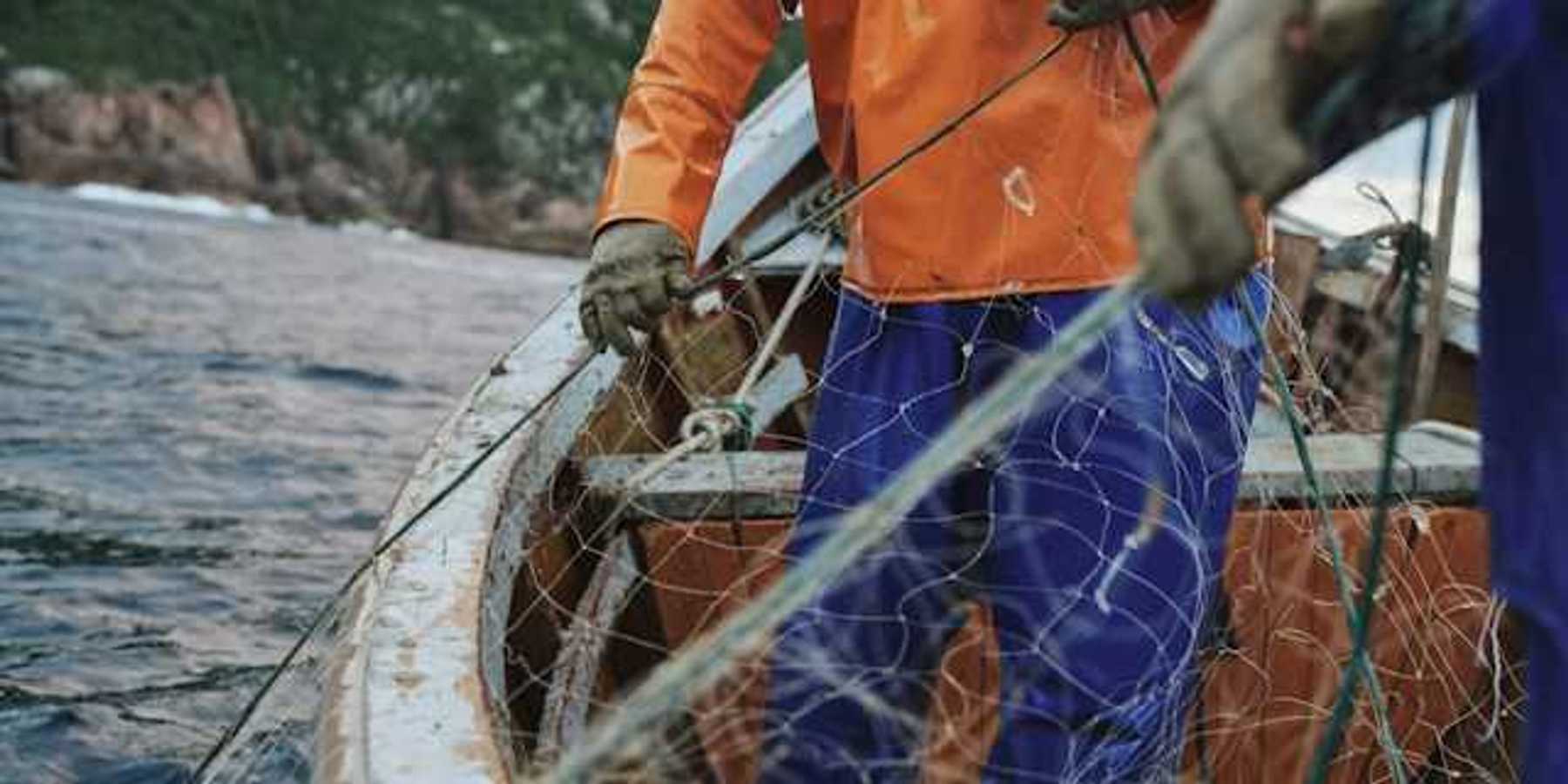 A couple of fishermen bring net into a boat