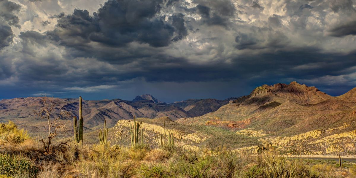 A desert landscape with saguaros, mountains and dark clouds in the background.