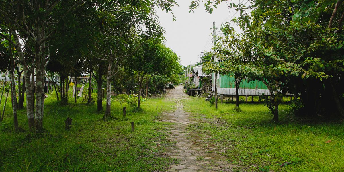 a dirt path past huts in a verdant tropical location.