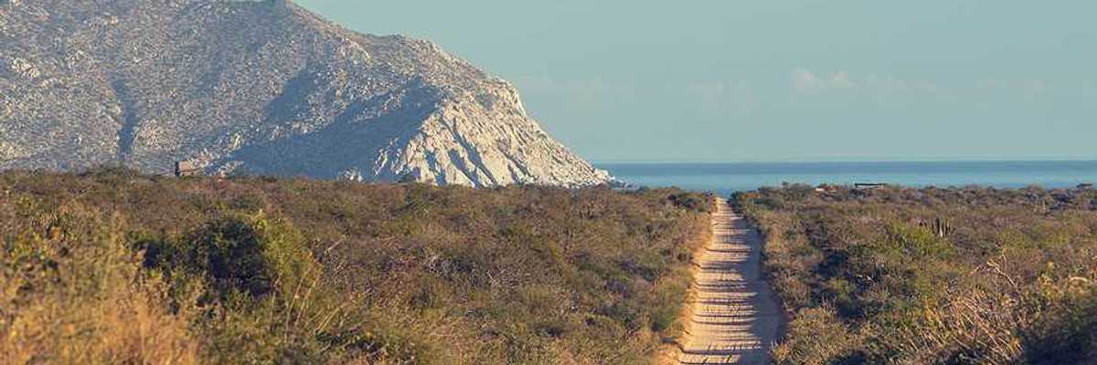 A dirt road in a dry environment heading to the ocean
