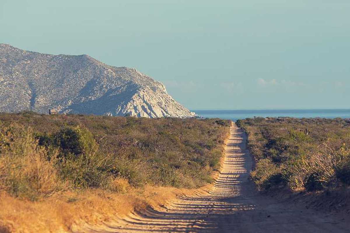 A dirt road in a dry environment heading to the ocean