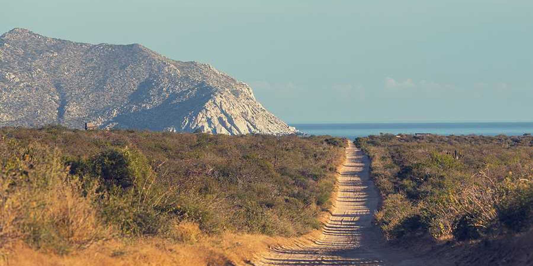 A dirt road in a dry environment heading to the ocean