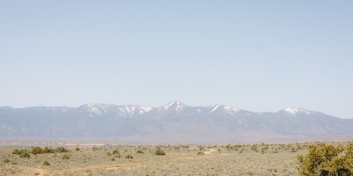 A dry scrubby environment with snow-capped mountains in the background
