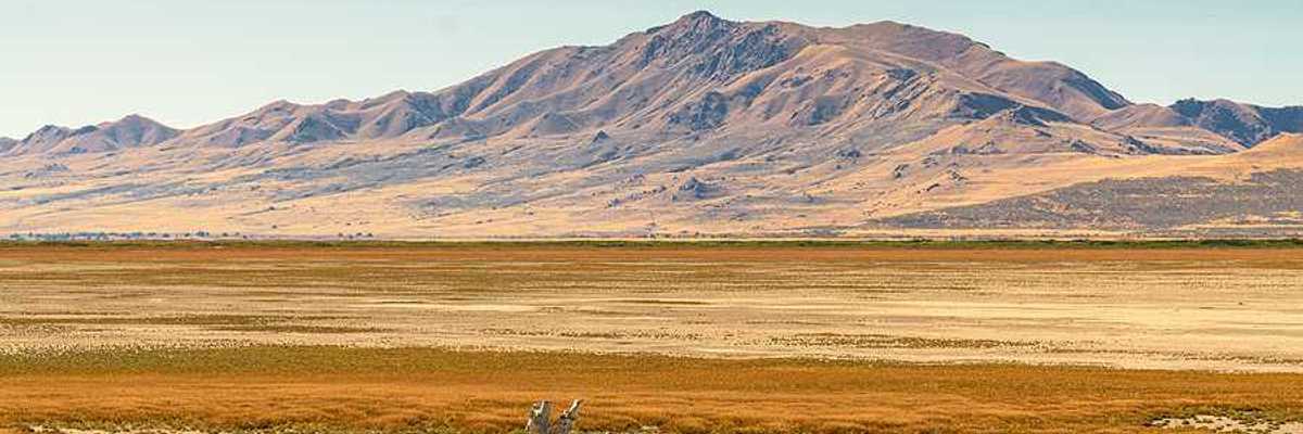 A dry section of the Great Salt Lake with mountains in the background