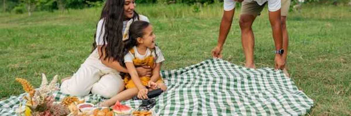 A family having a picnic in a greenfield