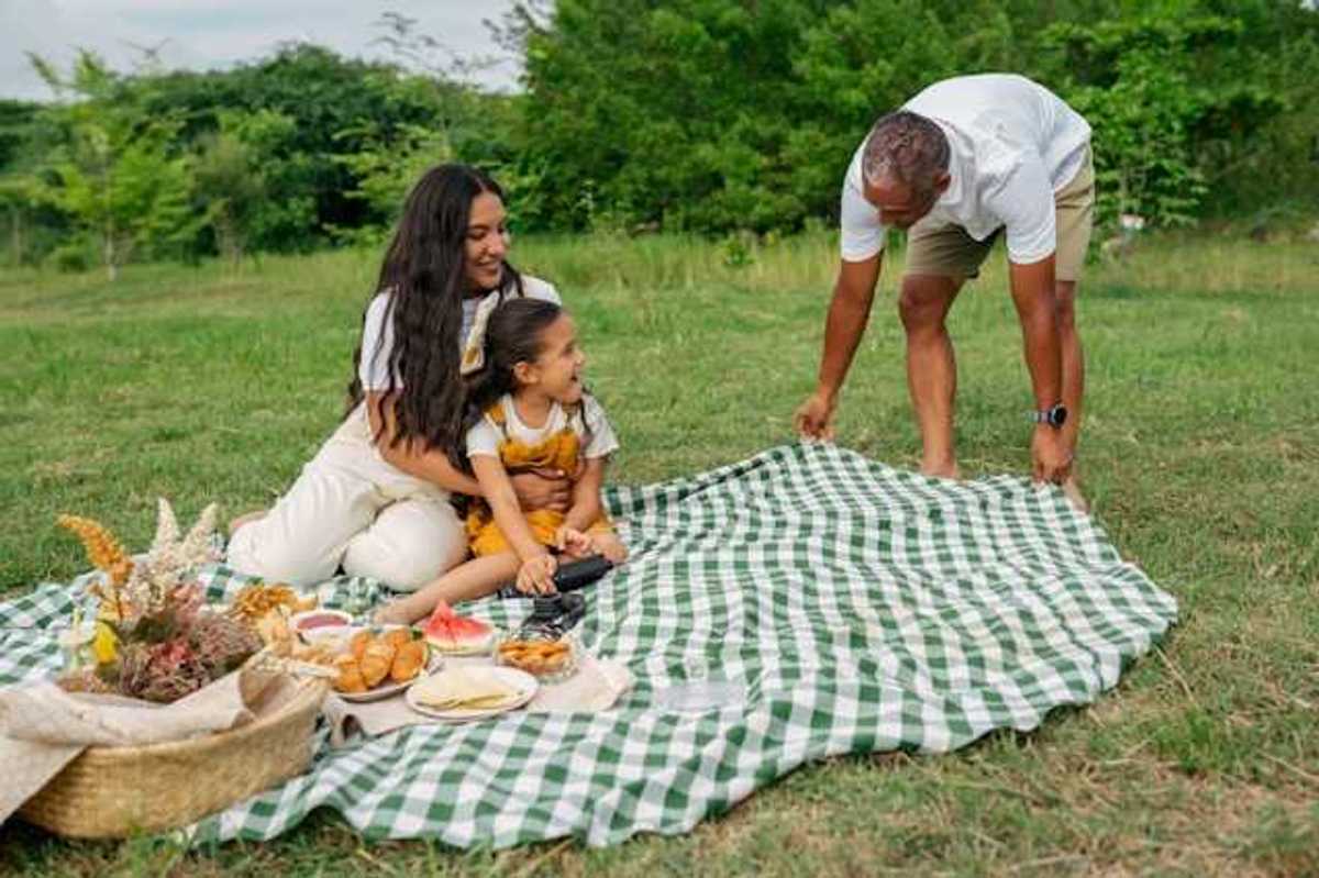 A family having a picnic in a greenfield