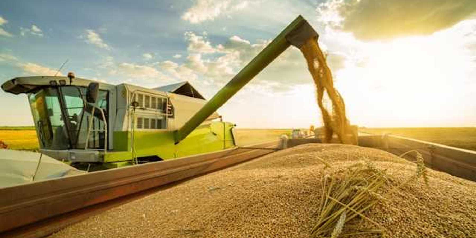 A farm combine harvesting grains into a huge container