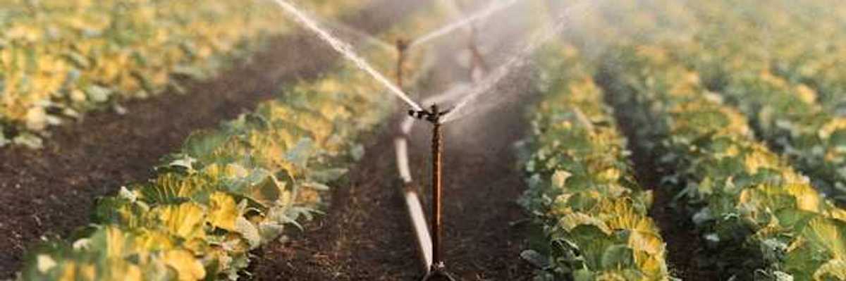 A farm field being watered