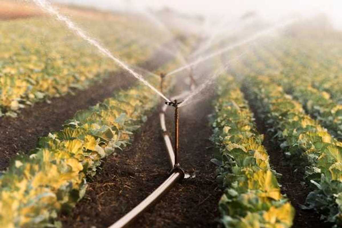 A farm field being watered