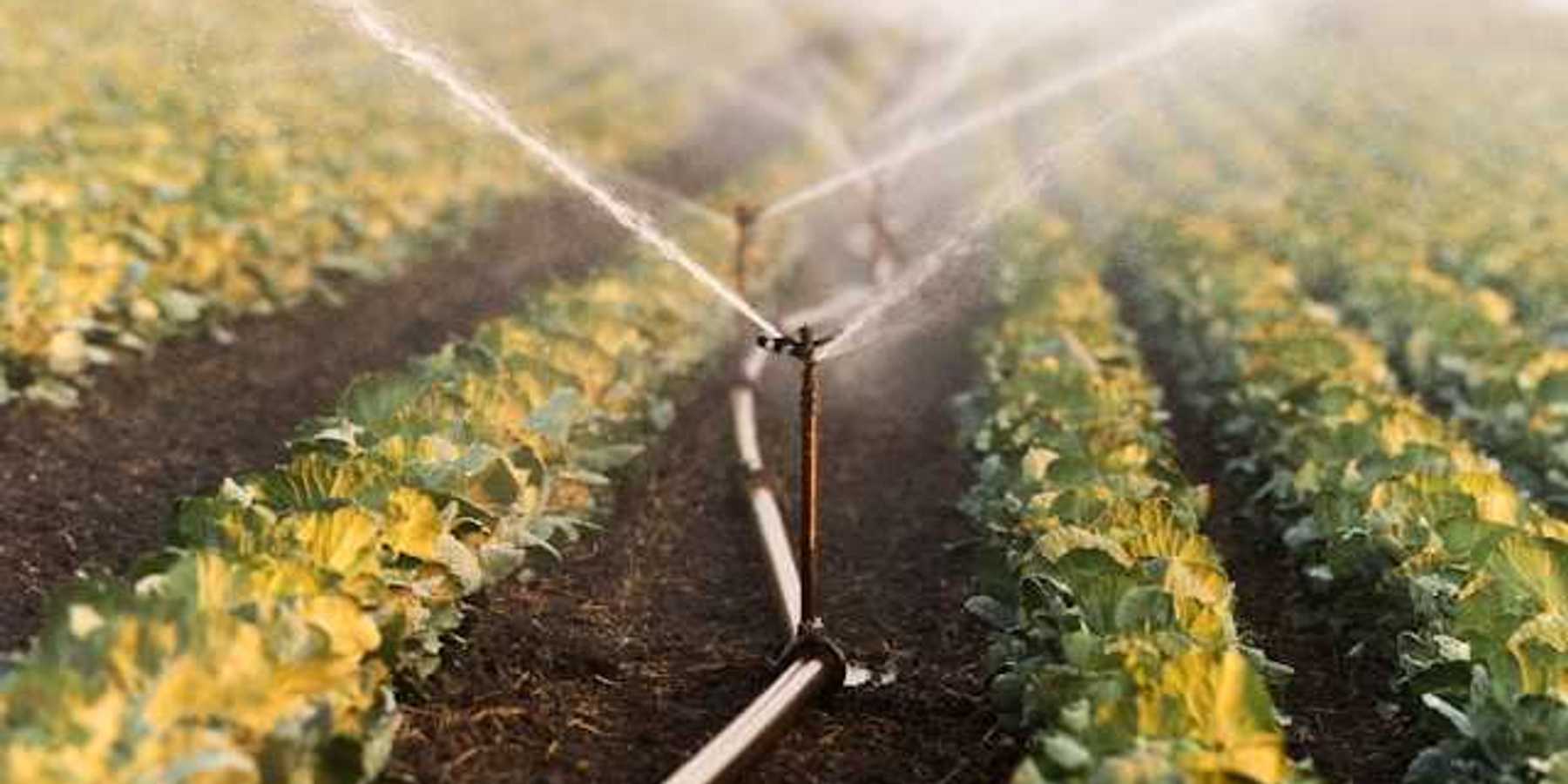 A farm field being watered