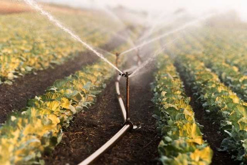Idaho Surface Water Coalition says severely needed water supply ‘simply is not there’