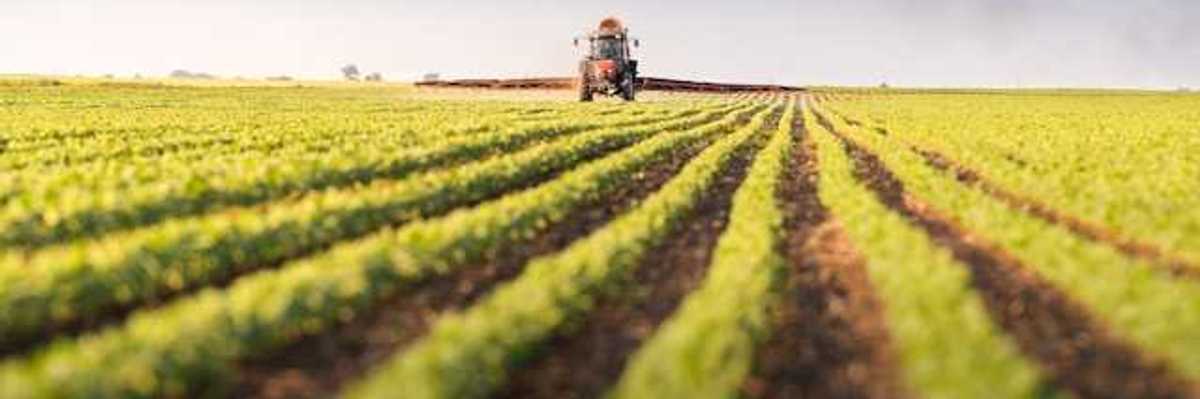 A farm field with a tractor in the background