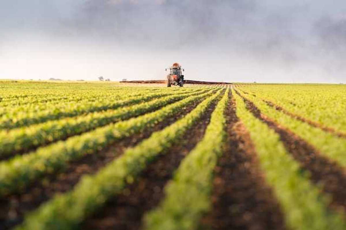 A farm field with a tractor in the background