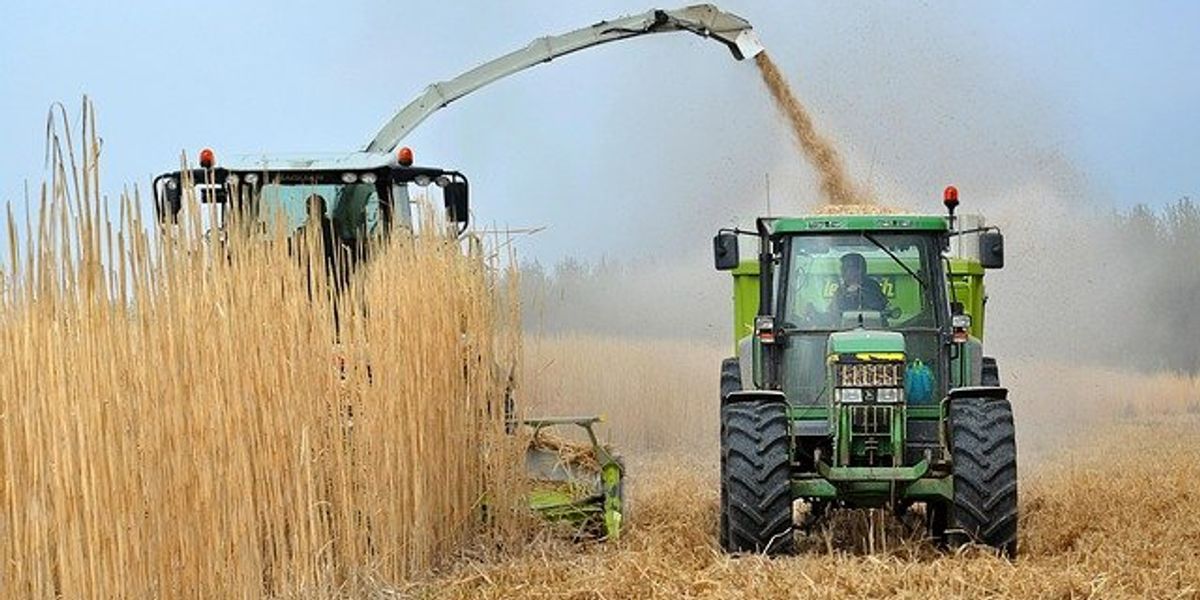 A farm harvester working in a farm field.