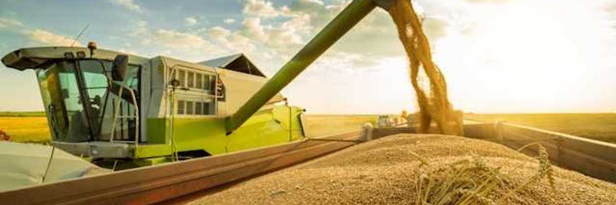 A farm vehicle harvesting wheat