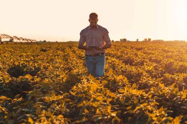 A farmer in a field looking down at a tablet